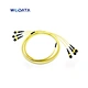 Fibres Singlemode MTP/MPO Trunk Cables
