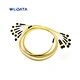 Fibres Singlemode MTP/MPO Trunk Cables