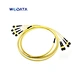 Fibres Singlemode MTP/MPO Trunk Cables